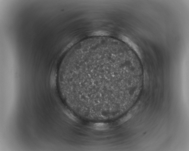 X0000111860153200908131506