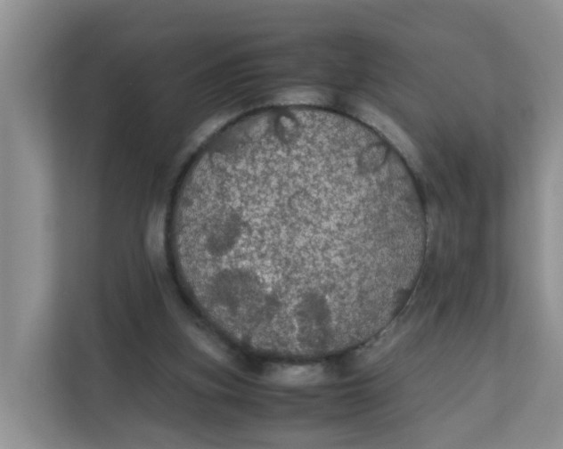 X0000111860155200908131506