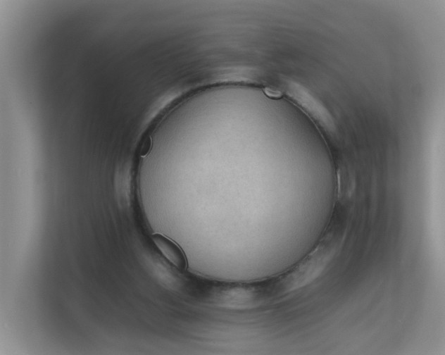 X0000111860156200908131506