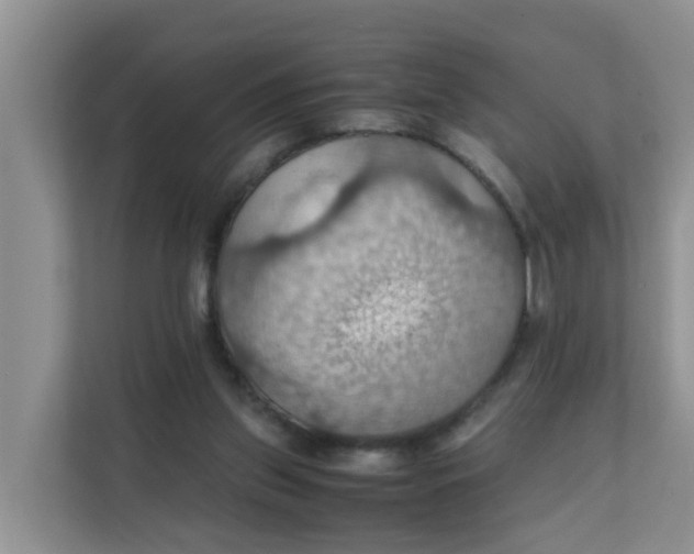 X0000111860157200908131506