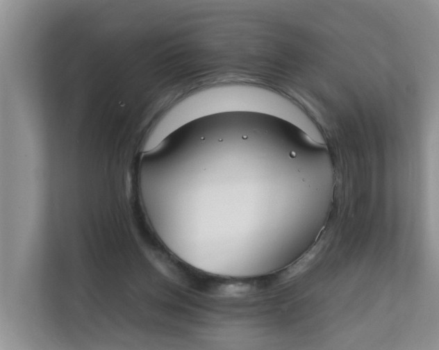 X0000111860158200908131506