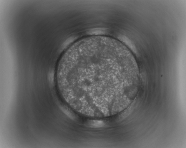 X0000111860159200908131506