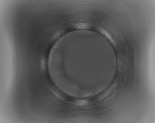 X0000111860161200908131506