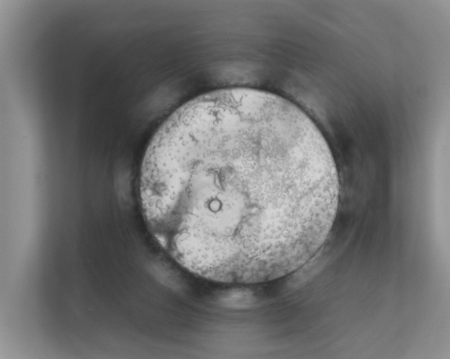 X0000111860162200908131506