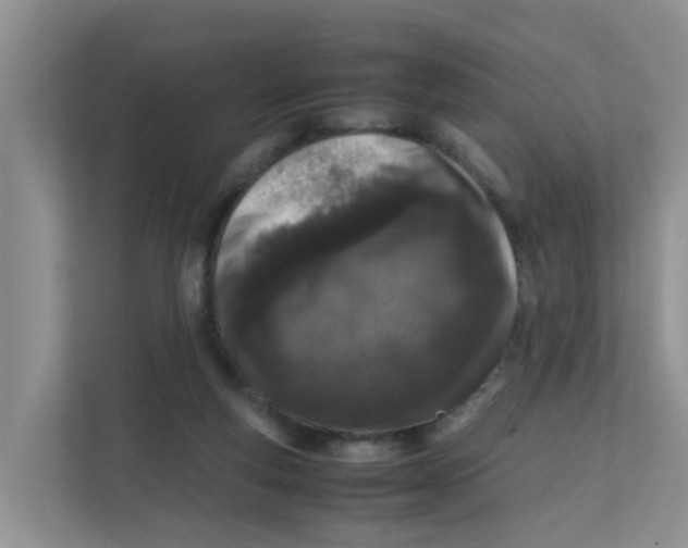 X0000111860163200908131506