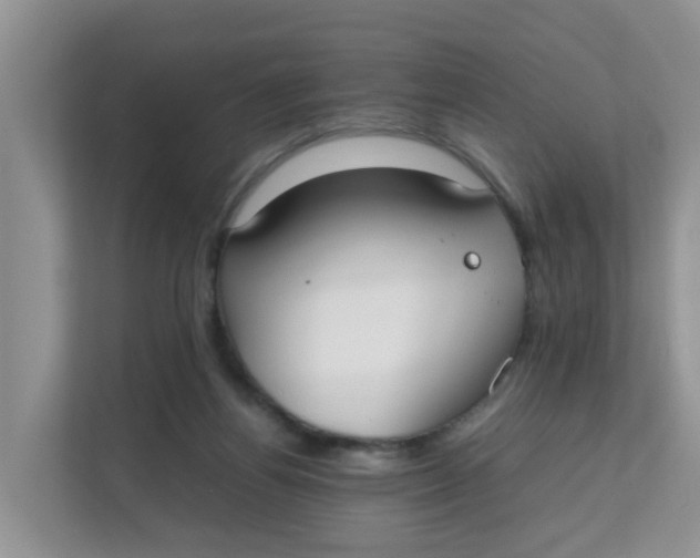 X0000111860164200908131506