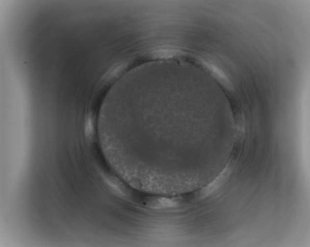 X0000111860166200908131506