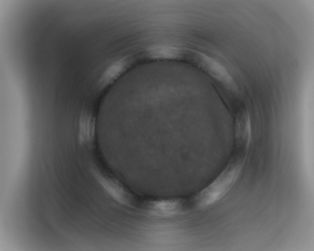 X0000111860168200908131506