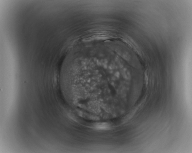 X0000111860169200908131506