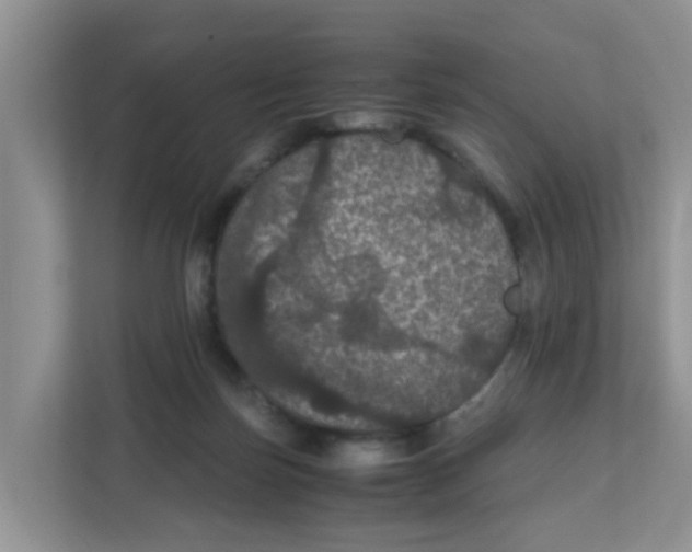 X0000111860171200908131506