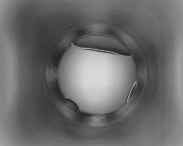 X0000111860172200908131506