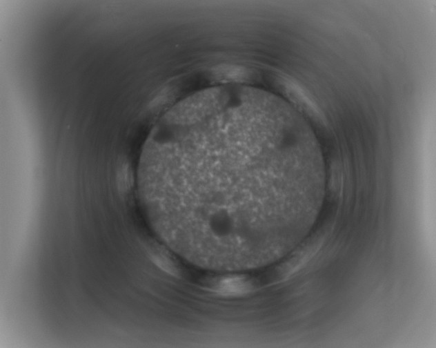 X0000111860173200908131506