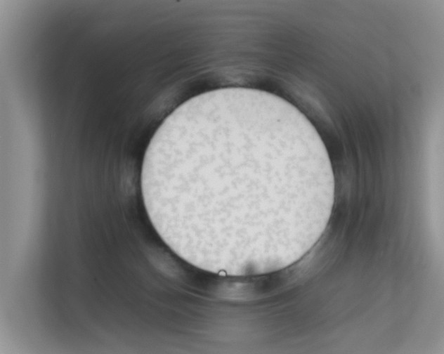 X0000111860174200908131506