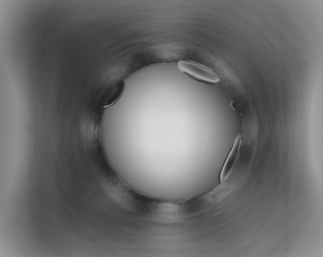 X0000111860176200908131506