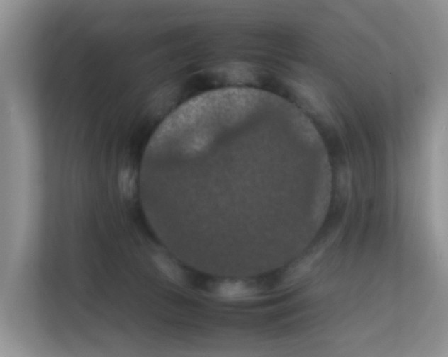 X0000111860177200908131506