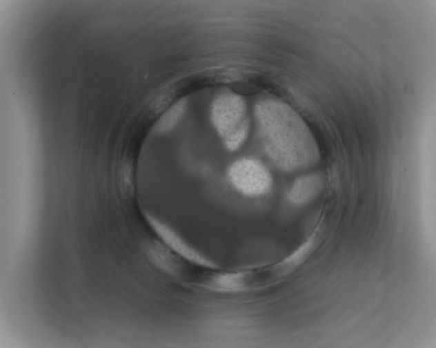 X0000111860178200908131506