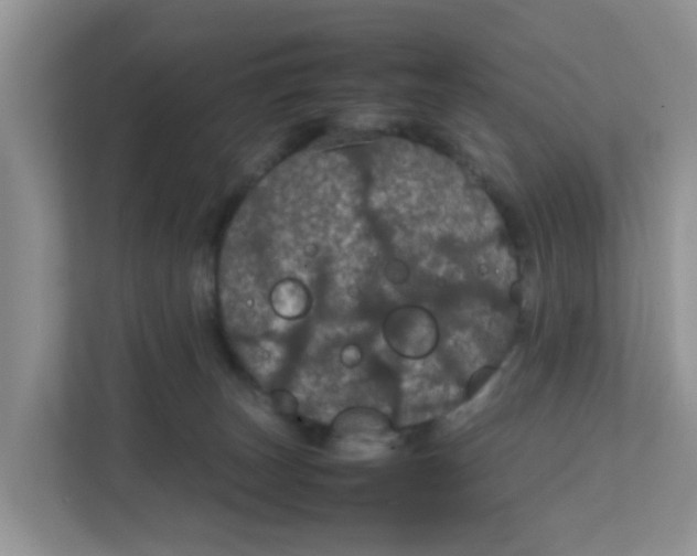 X0000111860179200908131506