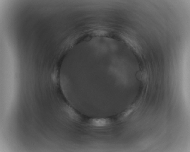 X0000111860181200908131506
