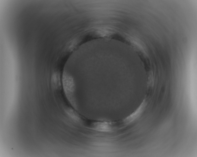 X0000111860182200908131506