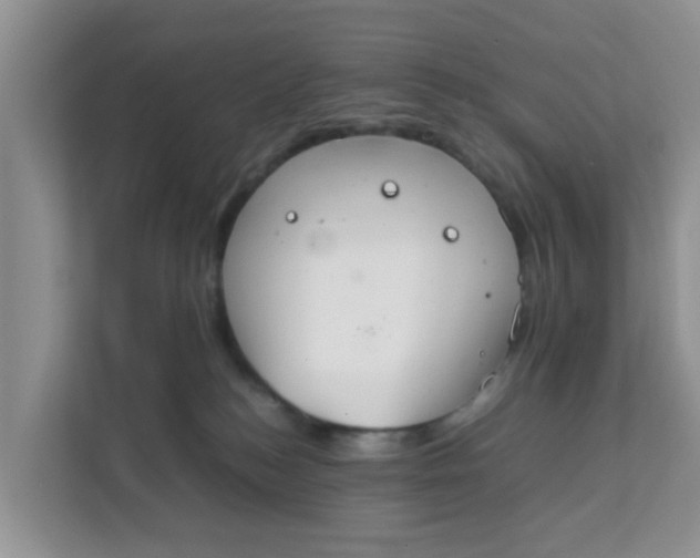 X0000111860184200908131506