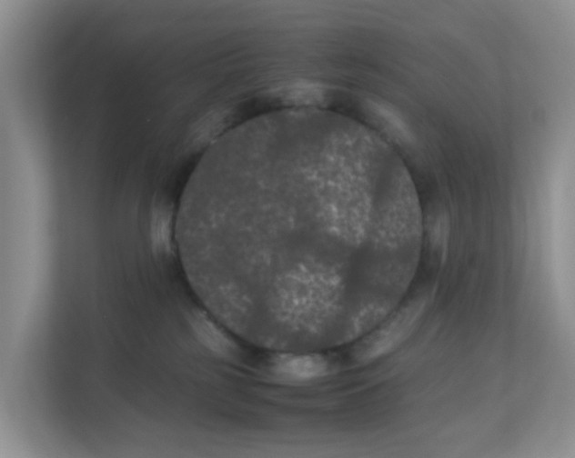 X0000111860185200908131506