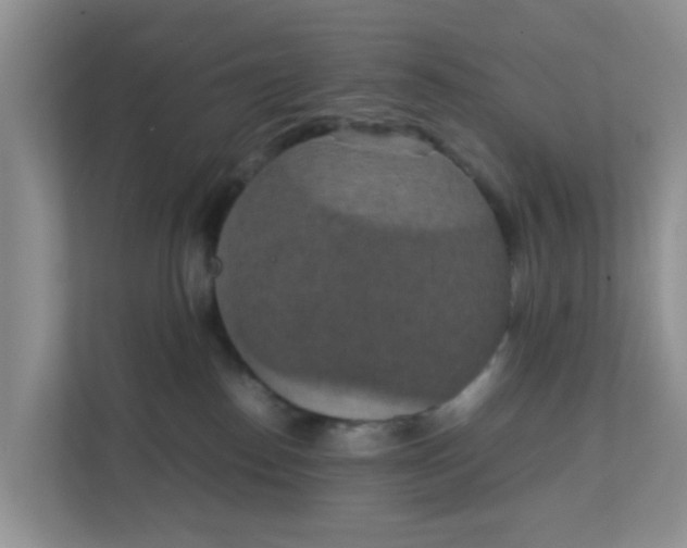 X0000111860186200908131506