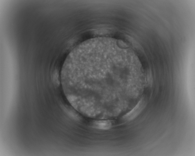 X0000111860187200908131506