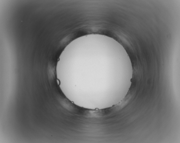 X0000111860188200908131506