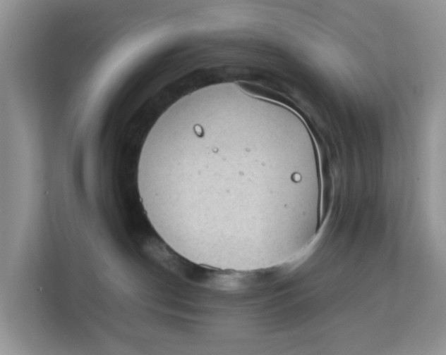 X0000111860190200908131506