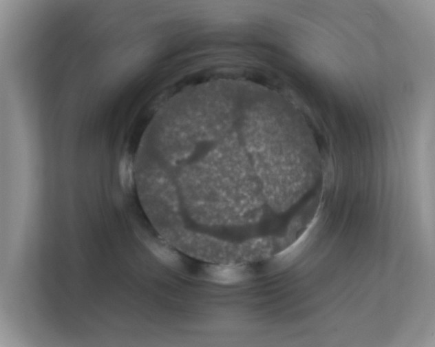 X0000111860191200908131506