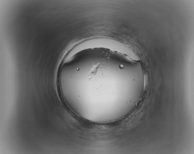 X0000111860195200908131506