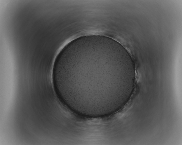 X0000111860196200908131506