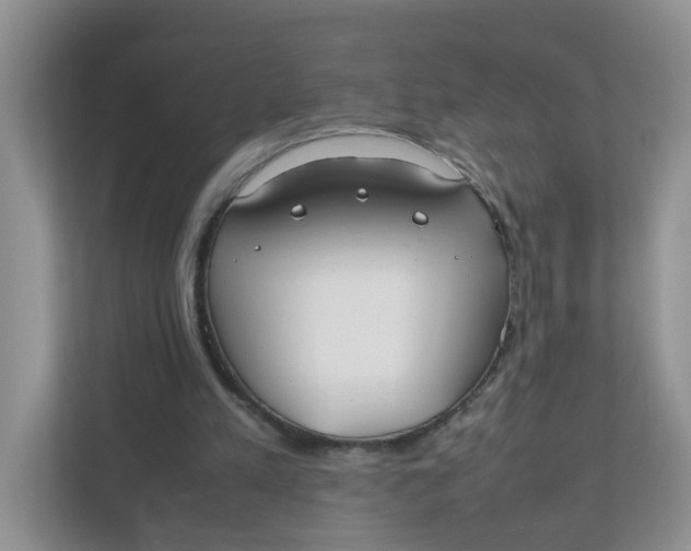 X0000111860197200908131506