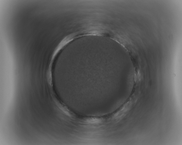 X0000111860198200908131506