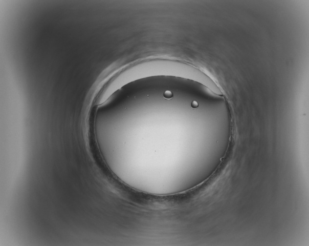 X0000111860199200908131506