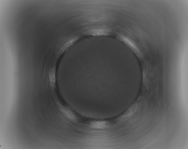 X0000111860202200908131506