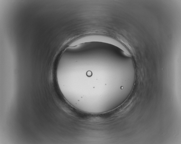 X0000111860203200908131506