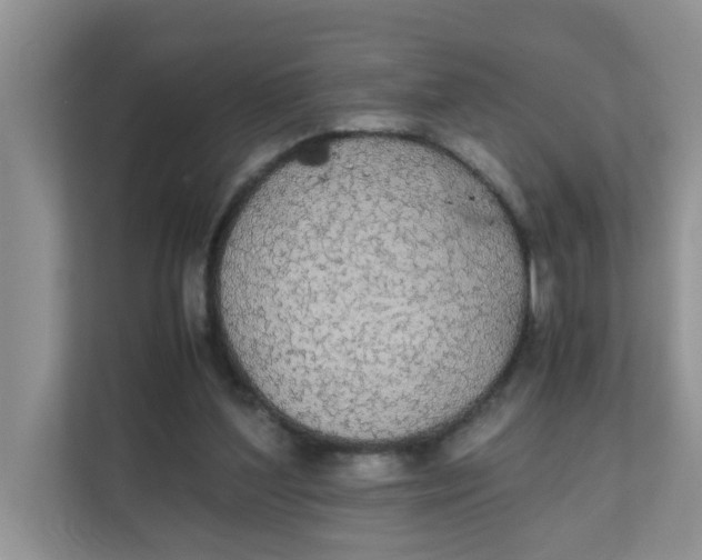 X0000111860204200908131506