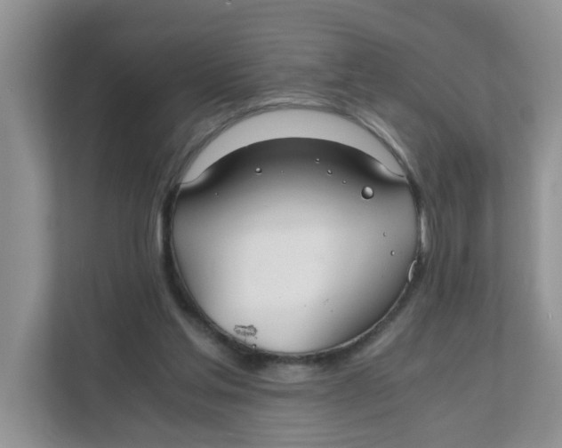 X0000111860205200908131506