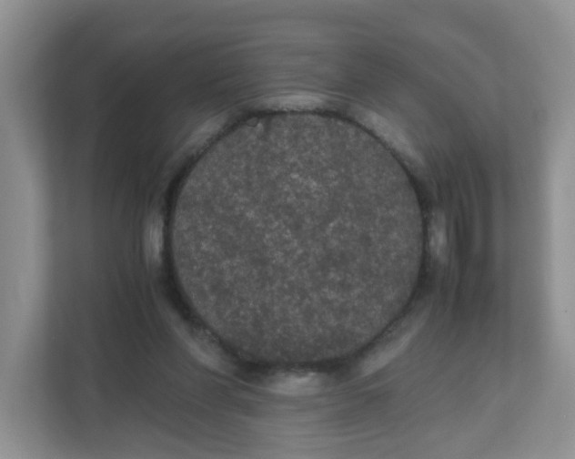 X0000111860206200908131506