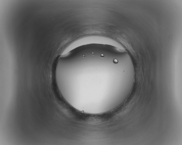 X0000111860207200908131506