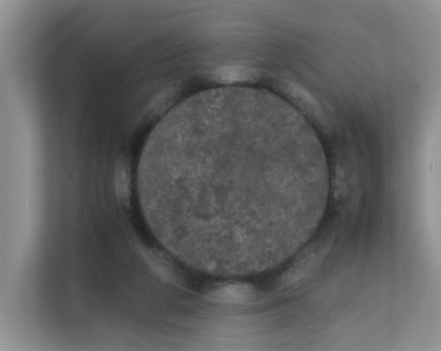 X0000111860210200908131506