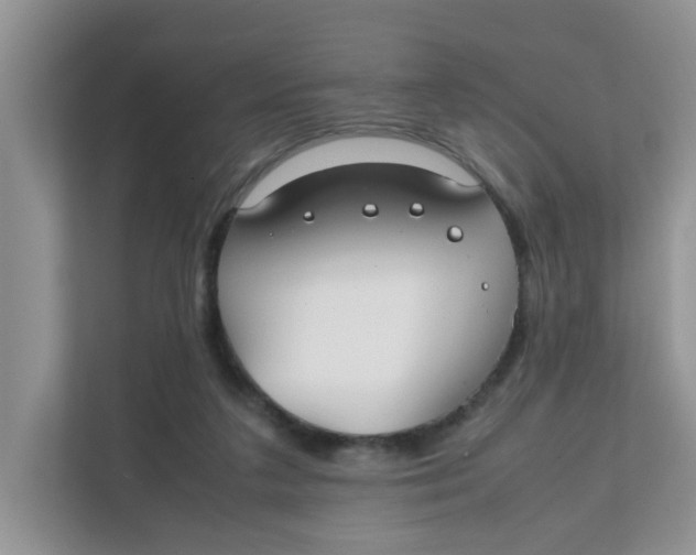 X0000111860211200908131506