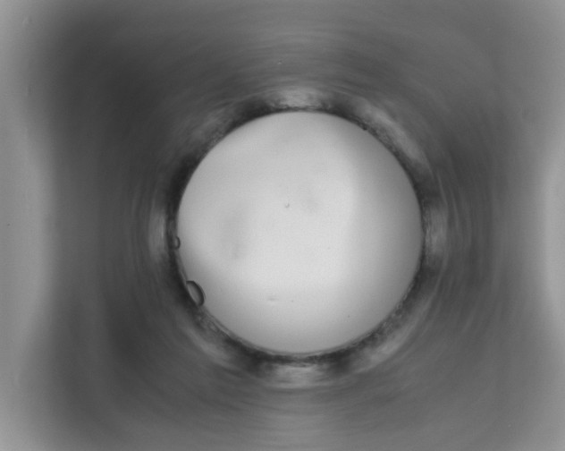 X0000111860213200908131506