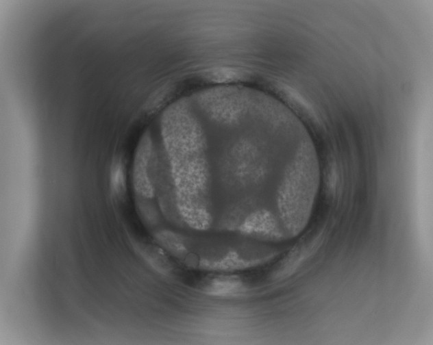 X0000111860214200908131506