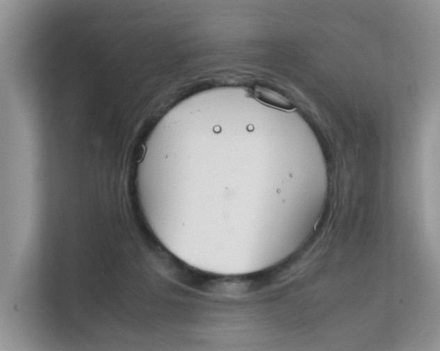 X0000111860217200908131506