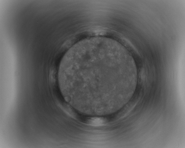 X0000111860218200908131506