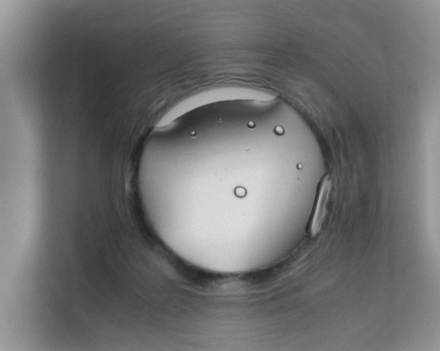 X0000111860219200908131506