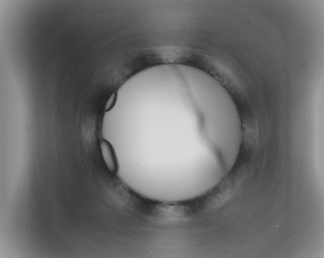 X0000111860221200908131505