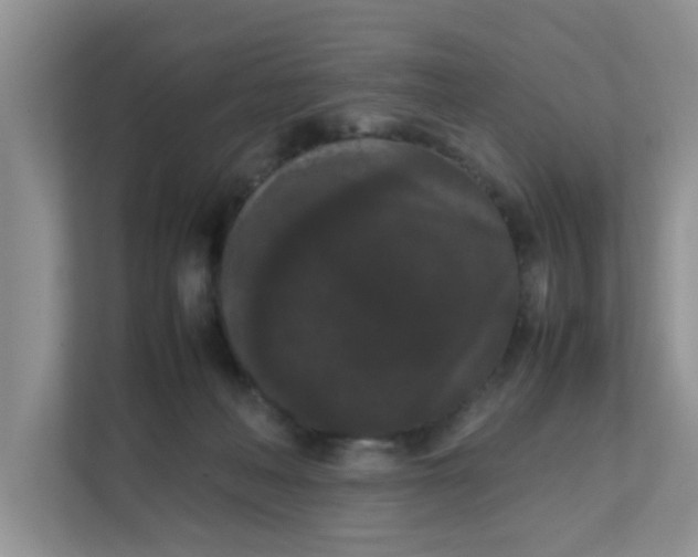 X0000111860222200908131505